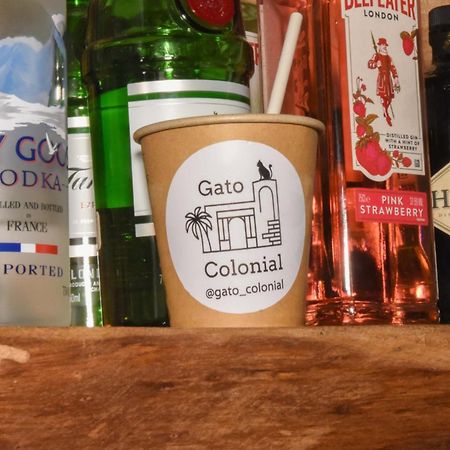 Hostel Gato Colonial サントドミンゴ エクステリア 写真