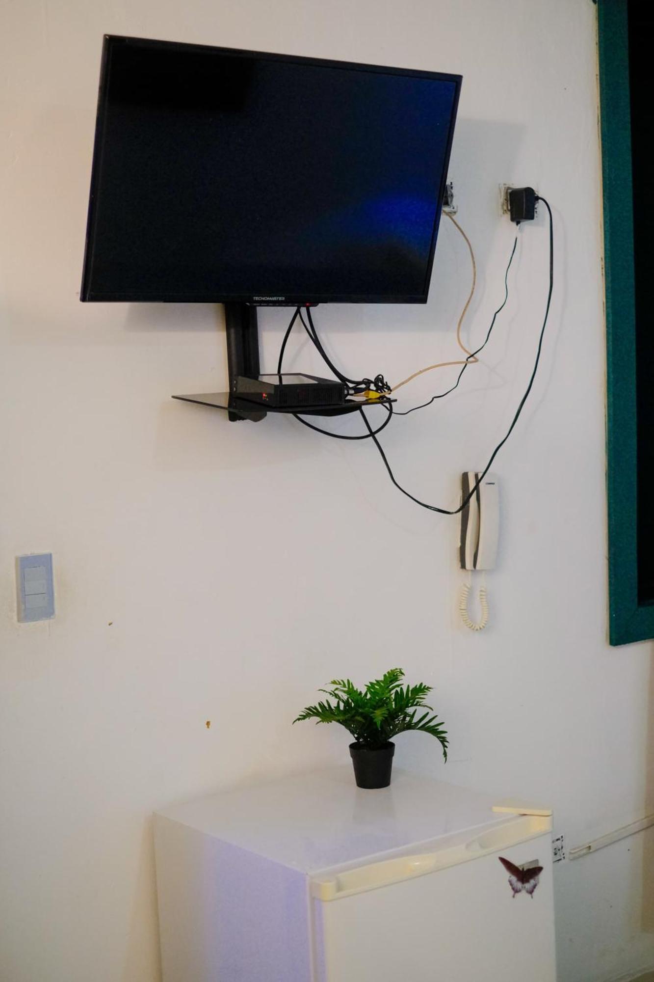 Hostel Gato Colonial サントドミンゴ エクステリア 写真