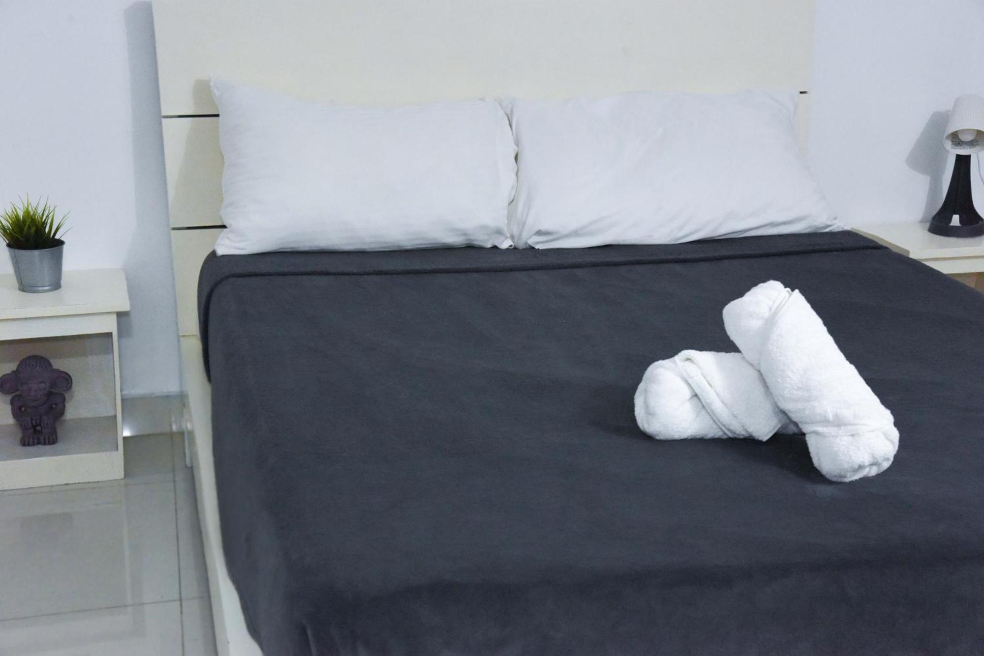 Hostel Gato Colonial サントドミンゴ エクステリア 写真