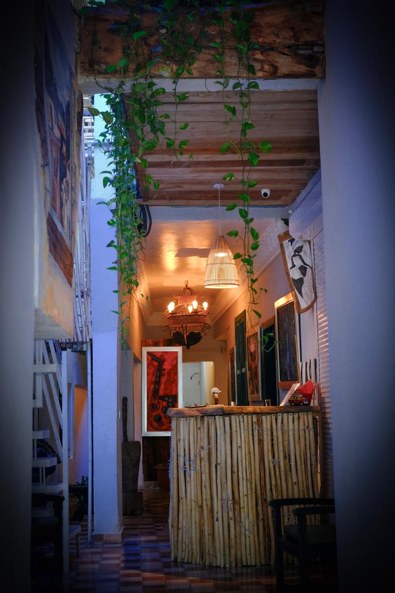 Hostel Gato Colonial サントドミンゴ エクステリア 写真